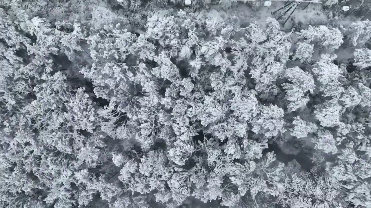 武汉东湖风景区冬季雪景风光视频素材