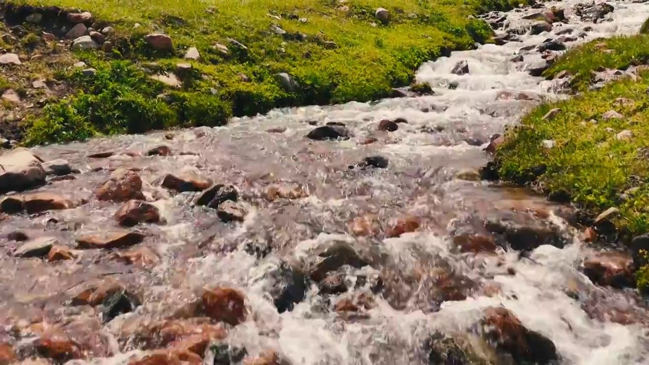 唯美原生态草原溪流视频素材