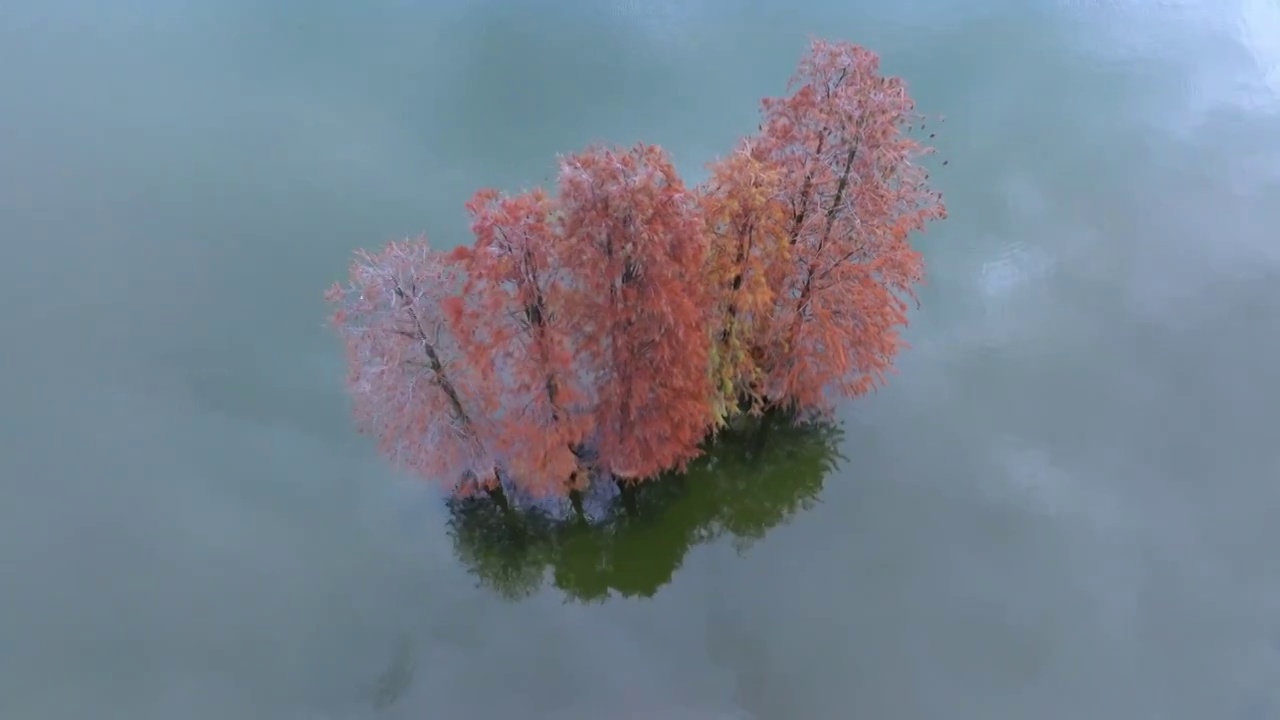 秋季的四明湖视频素材