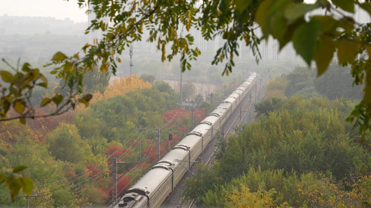 行驶在秋天里的绿皮火车视频下载