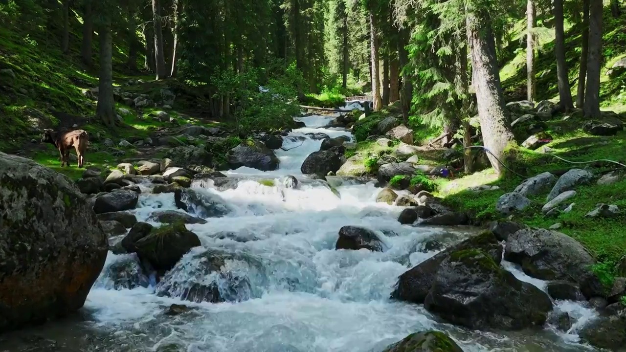 山间河流溪流慢镜头视频下载