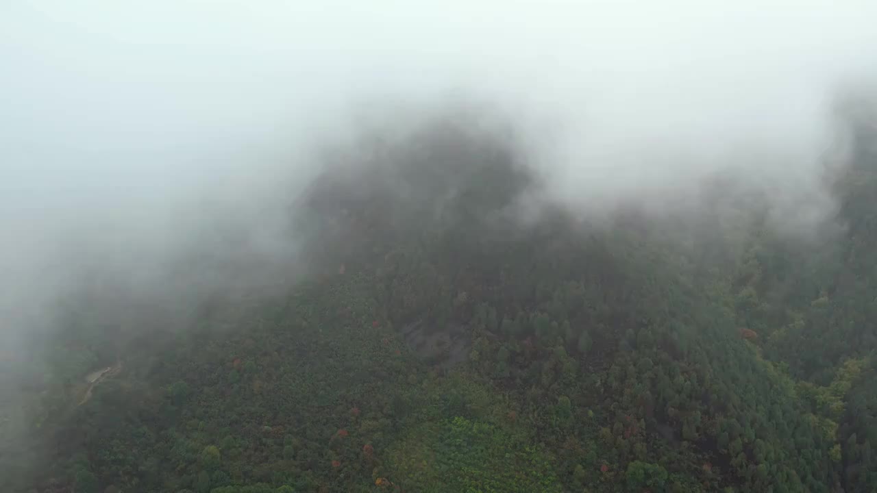 缙云山云雾与森林视频素材