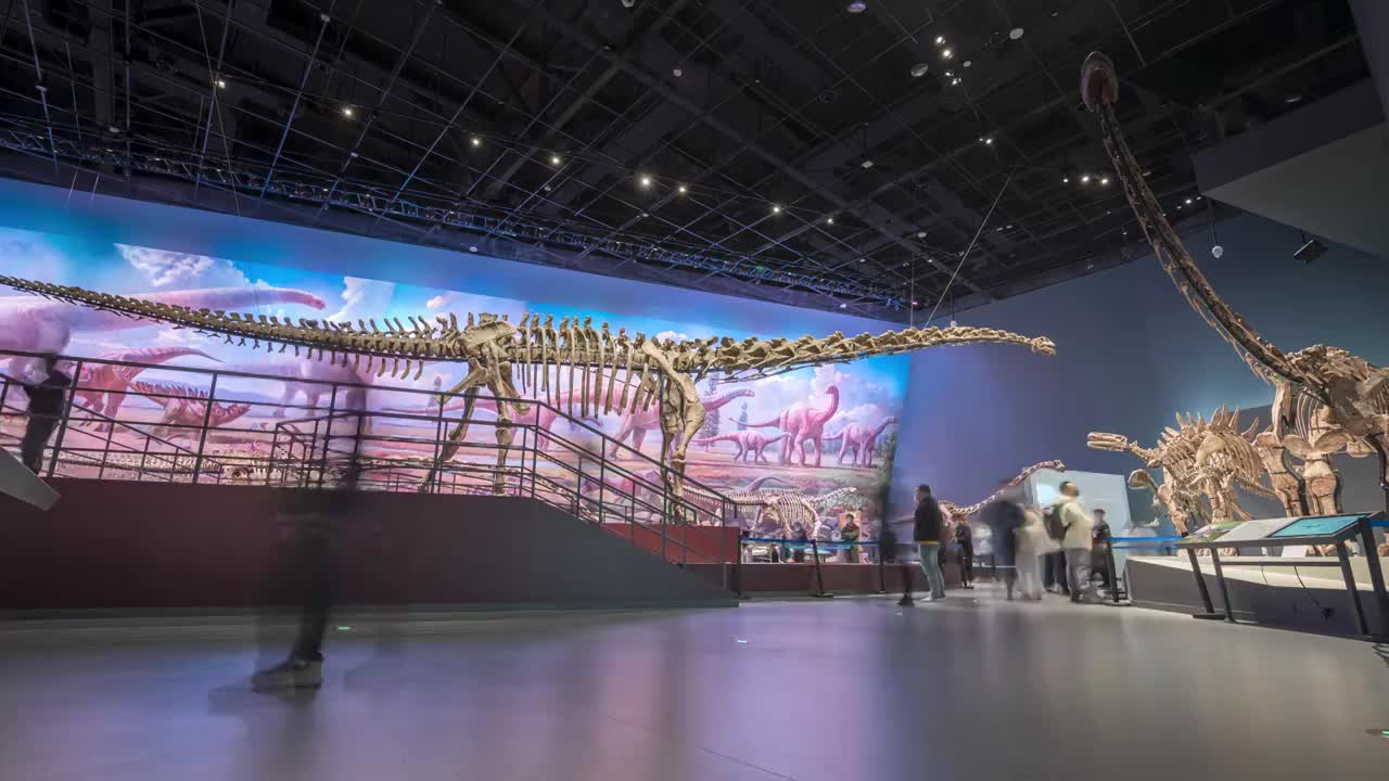 成都自然博物馆恐龙馆马门溪龙化石,人群观展延时摄影视频下载