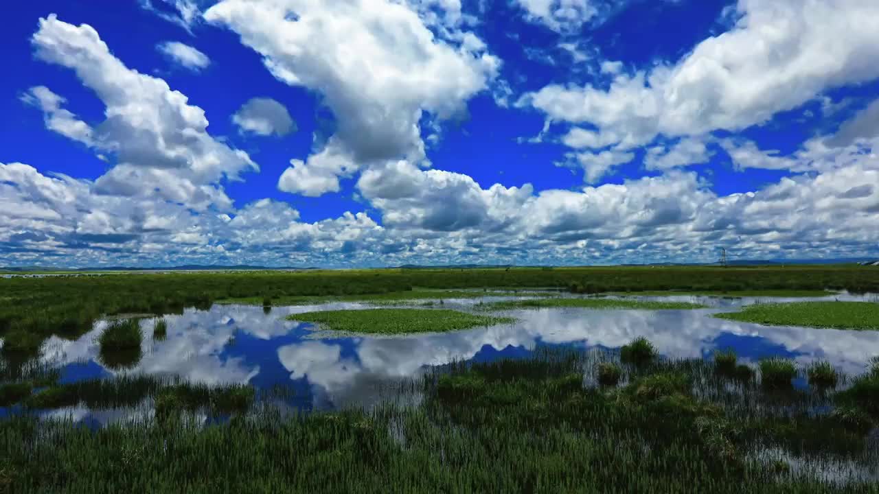 若尔盖大草原花湖夏季风光延时摄影视频素材