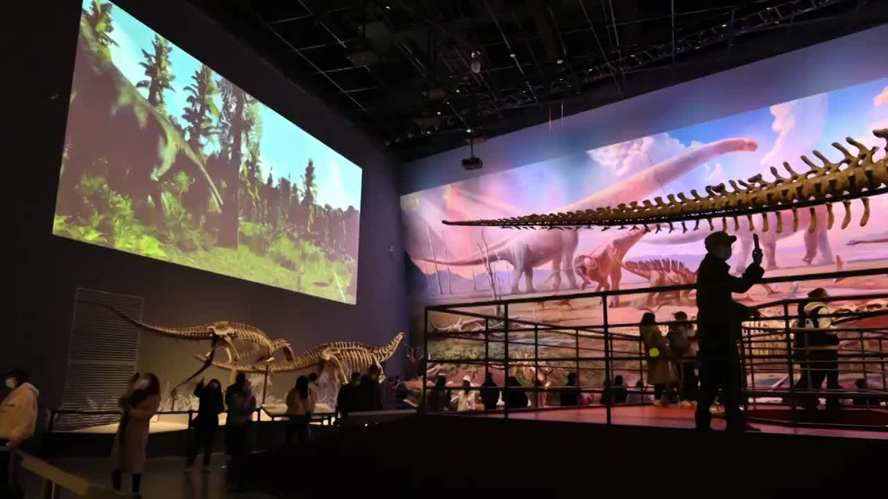 成都自然博物馆恐龙馆马门溪龙化石和观展的人群实时（合集）视频下载