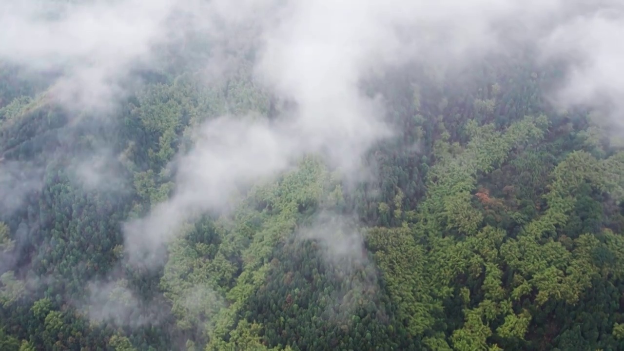 云雾下的山谷视频素材