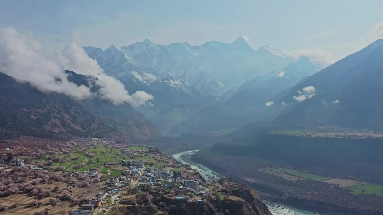 航拍桃花盛开的雅鲁藏布大峡谷风光视频素材