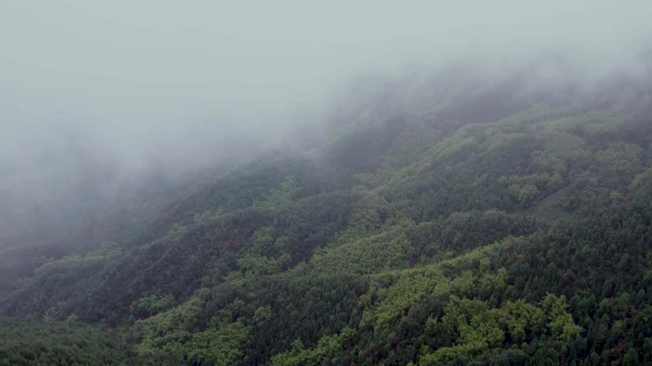 重庆缙云山森林的云雾视频素材