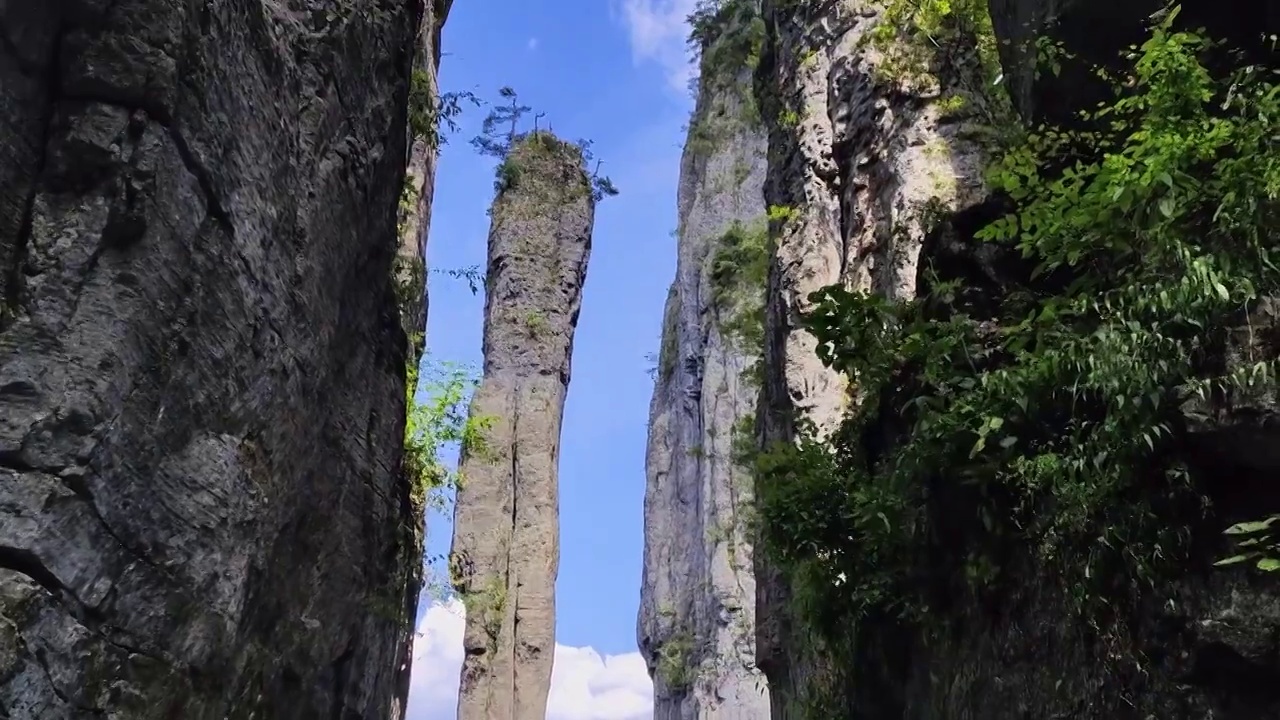 一炷香，恩施大峡谷的景观，夏天的额恩施大峡谷的石柱视频下载