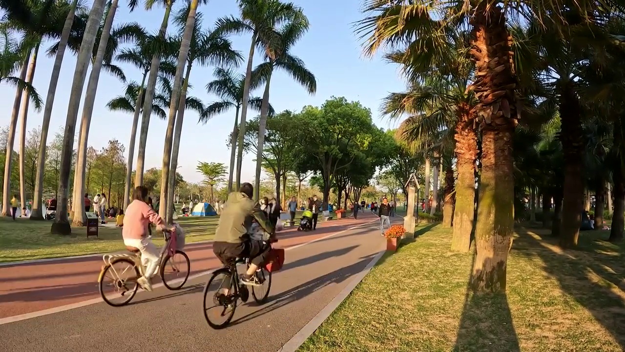 休闲的市民在海边公园人行步道上踩脚踏车游玩度假视频下载