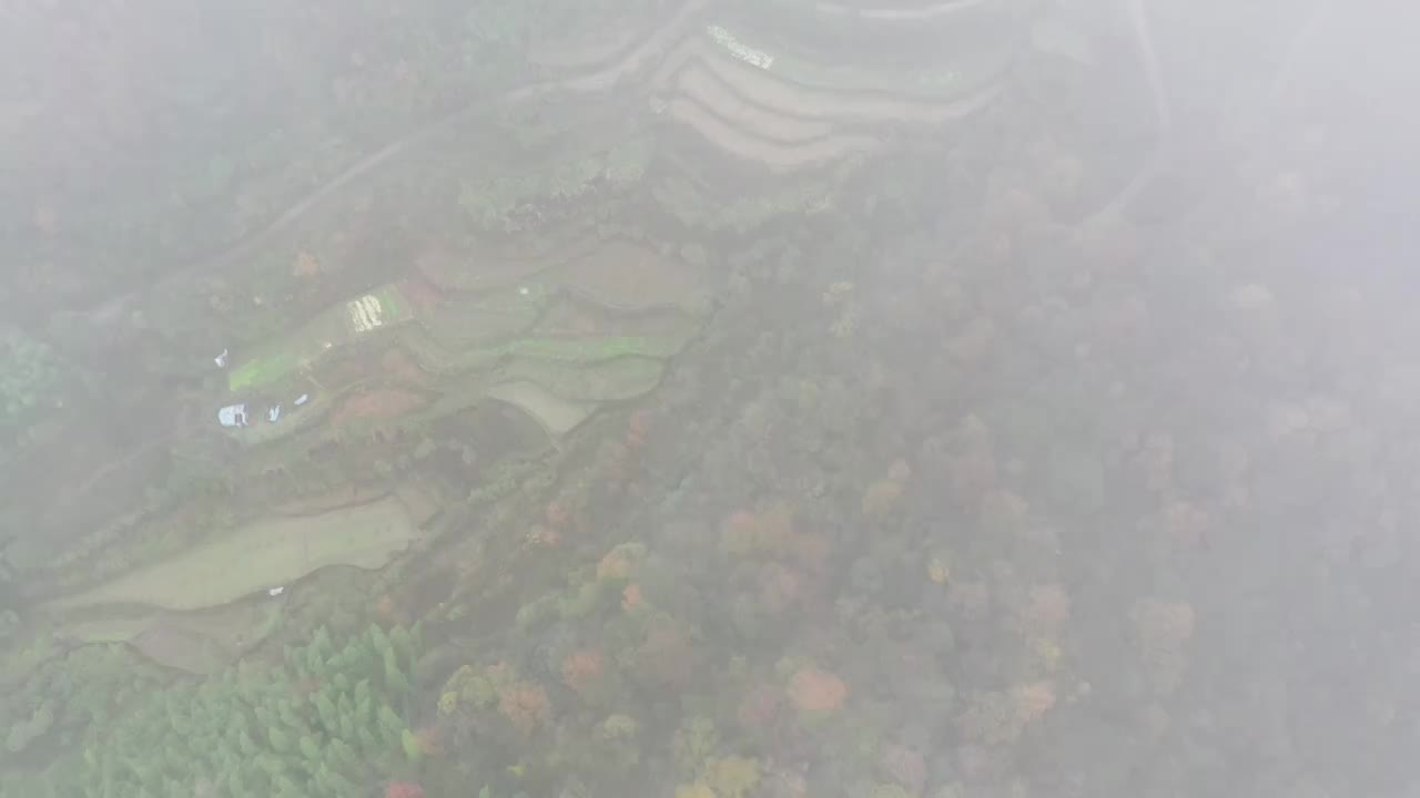 云雾山峦秋色航拍视频素材