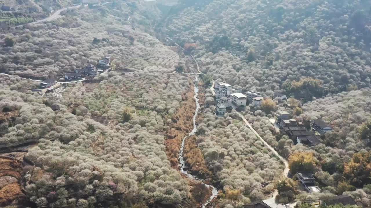 乡村自然生态旅游（福州永泰青梅花）视频素材