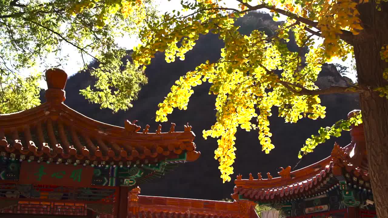 北京秋天阳光下的白瀑寺视频素材