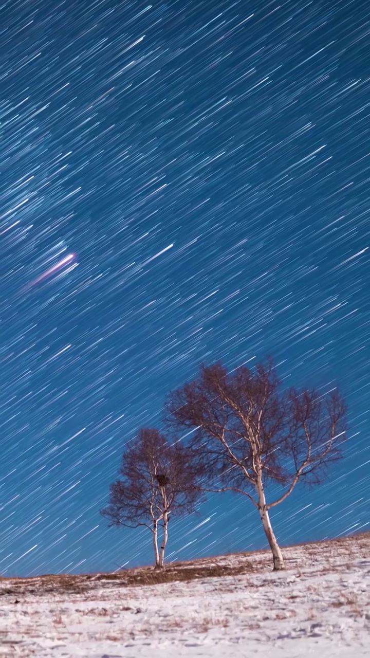 星空延时：河北丰宁坝上白桦林夜空星轨视频素材