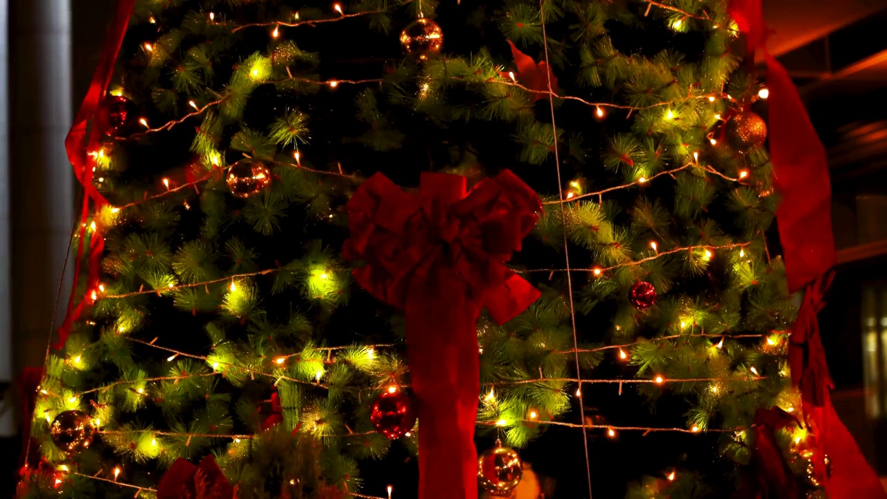 闪亮着灯光的圣诞树视频下载