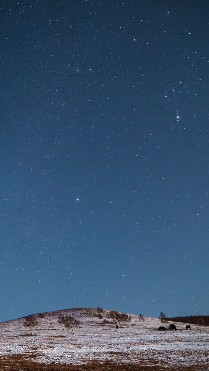 星空延时：丰宁坝上草原冬季夜空星光流动视频素材