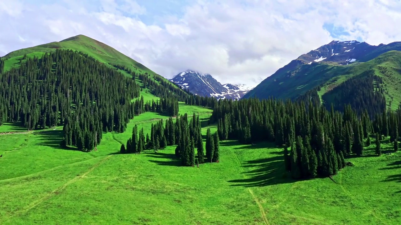 航拍中国新疆草原和山脉自然风光视频素材