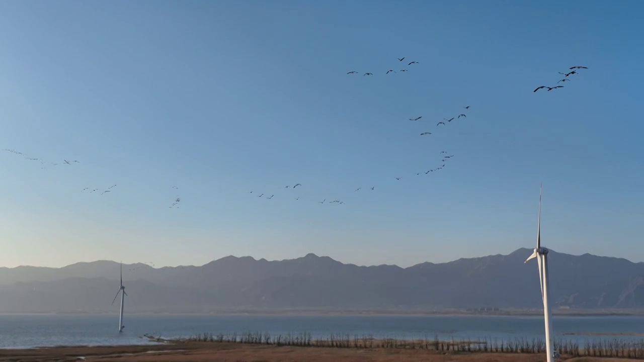 北京延庆区官厅水库候鸟群飞翔慢镜头航拍视频下载