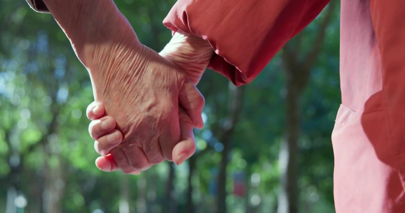 幸福的老年夫妇手牵手在公园里散步视频购买
