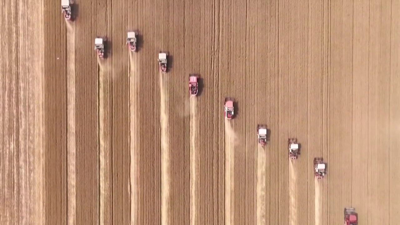 中国农业农村发展乡村振兴收获玉米（选编）视频素材