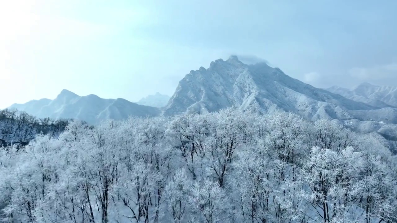 河南洛阳白云山雪景雾凇公路蓝天白云生态航拍视频下载
