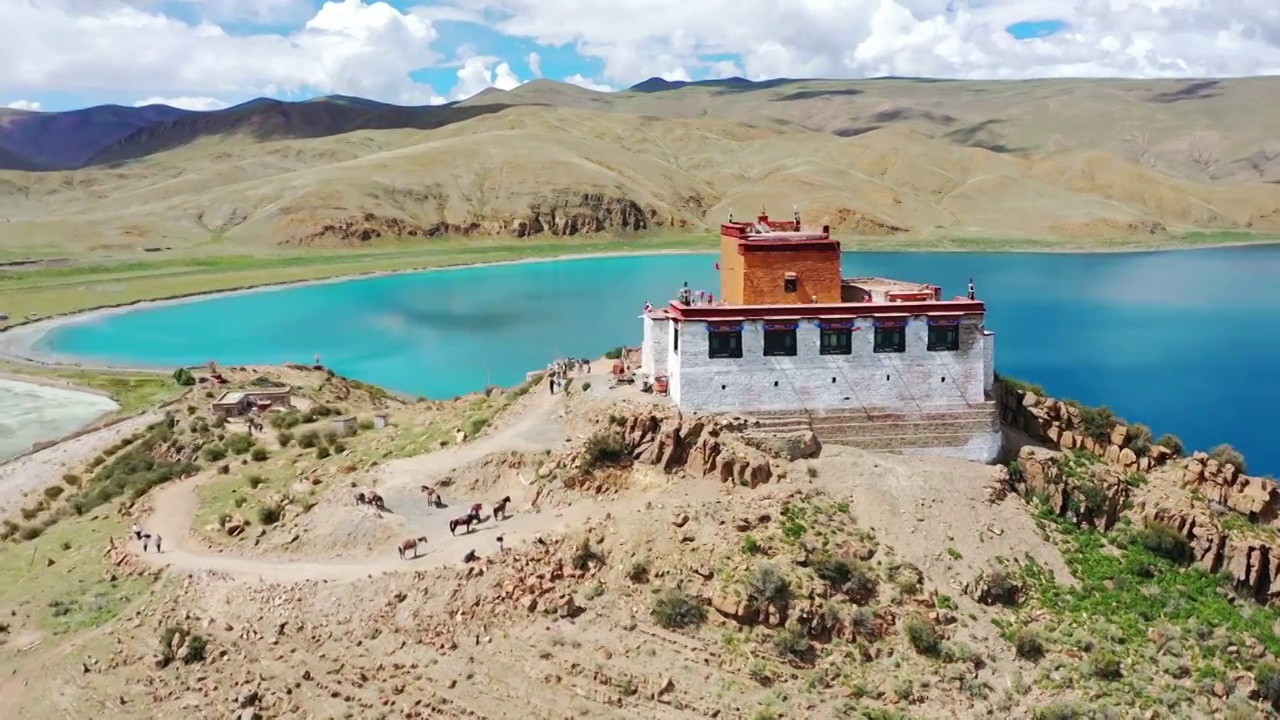 西藏羊湖视频下载