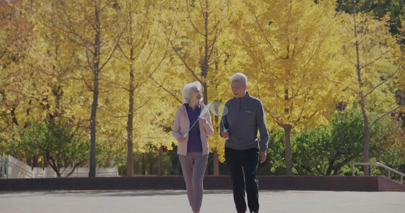 幸福的老年夫妇在公园里打羽毛球视频下载