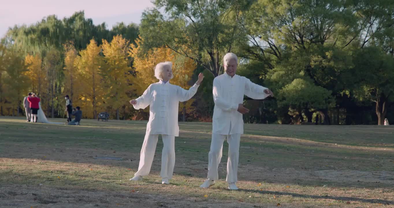 幸福的老年夫妇在公园里练太极拳视频素材