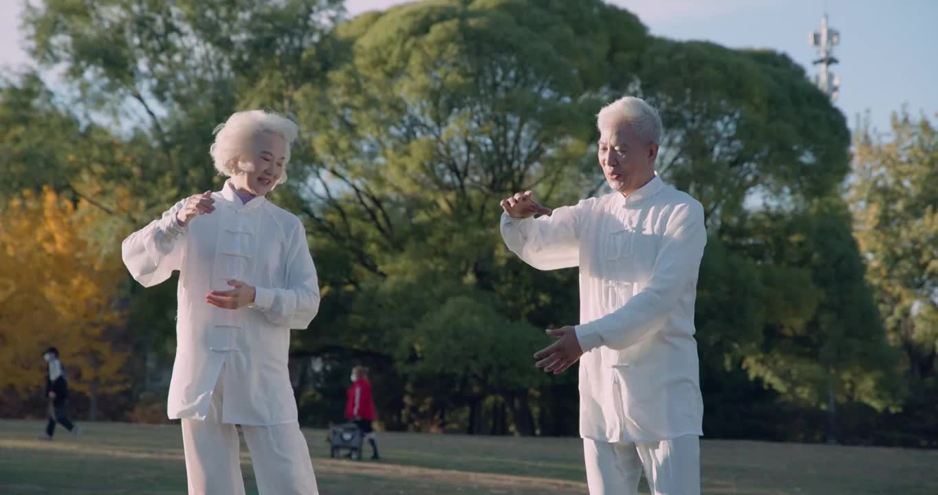 幸福的老年夫妇在公园里练太极拳视频下载