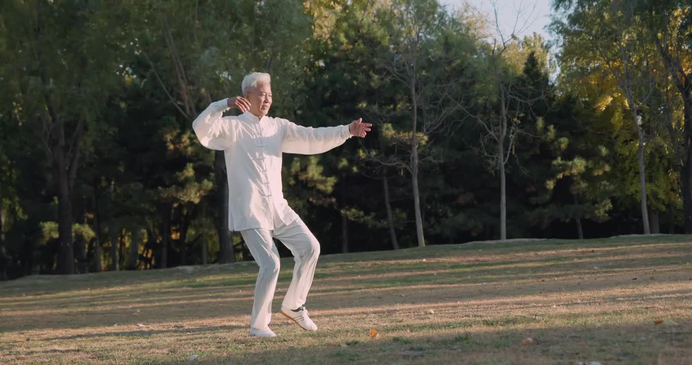 在公园里练太极拳的老人视频下载