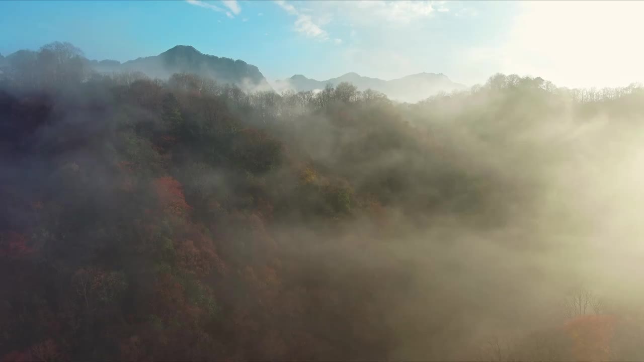巴中光雾山的彩林视频下载