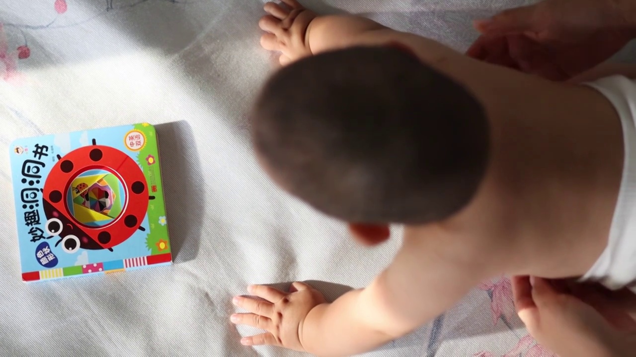 宝宝趴在床上认真看书看画册学习视频下载