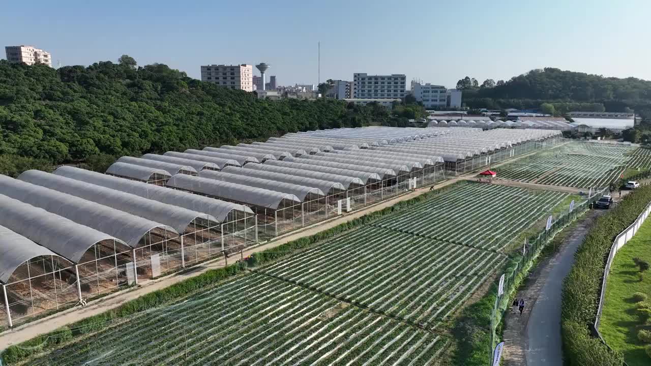 广东省深圳市宝安区石岩阿菠萝小猪的王国航拍视频素材