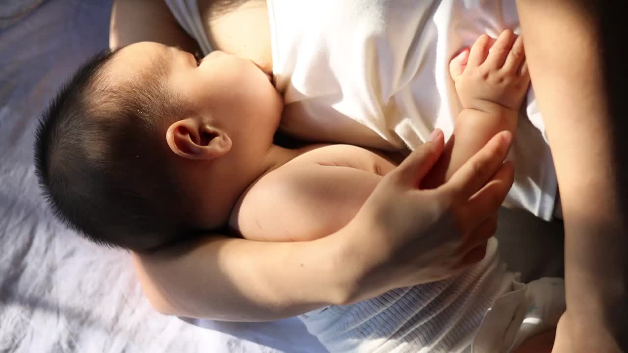 阳光下哺乳期母亲喂宝宝吃奶视频下载