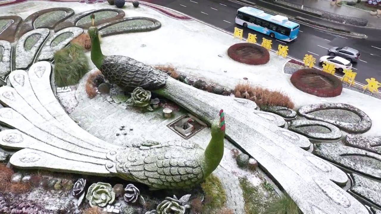 雪中的南京鼓楼广场环岛孔雀绿植雕塑视频下载
