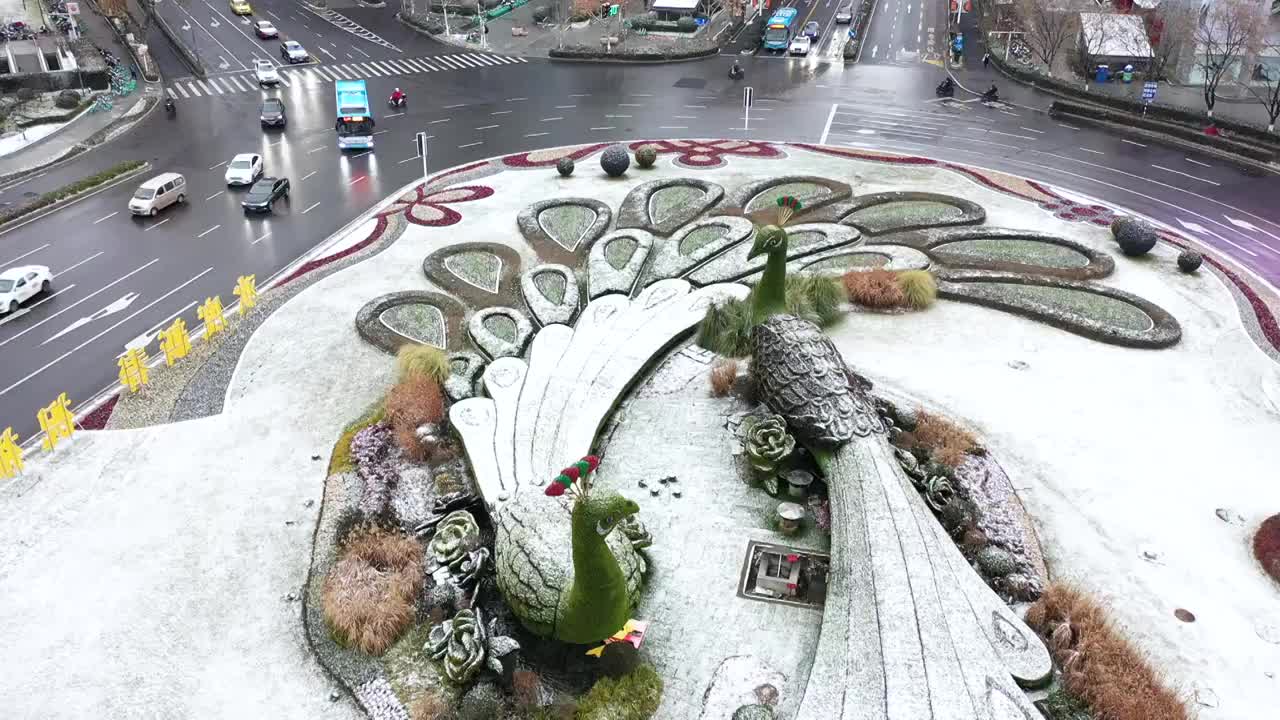 南京鼓楼广场环岛孔雀绿植雕塑的雪景视频下载