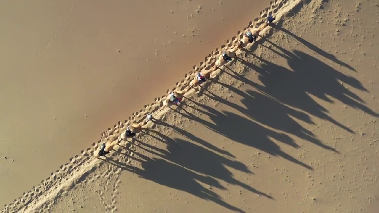 航拍甘肃巴丹吉林沙漠骑骆驼视频下载
