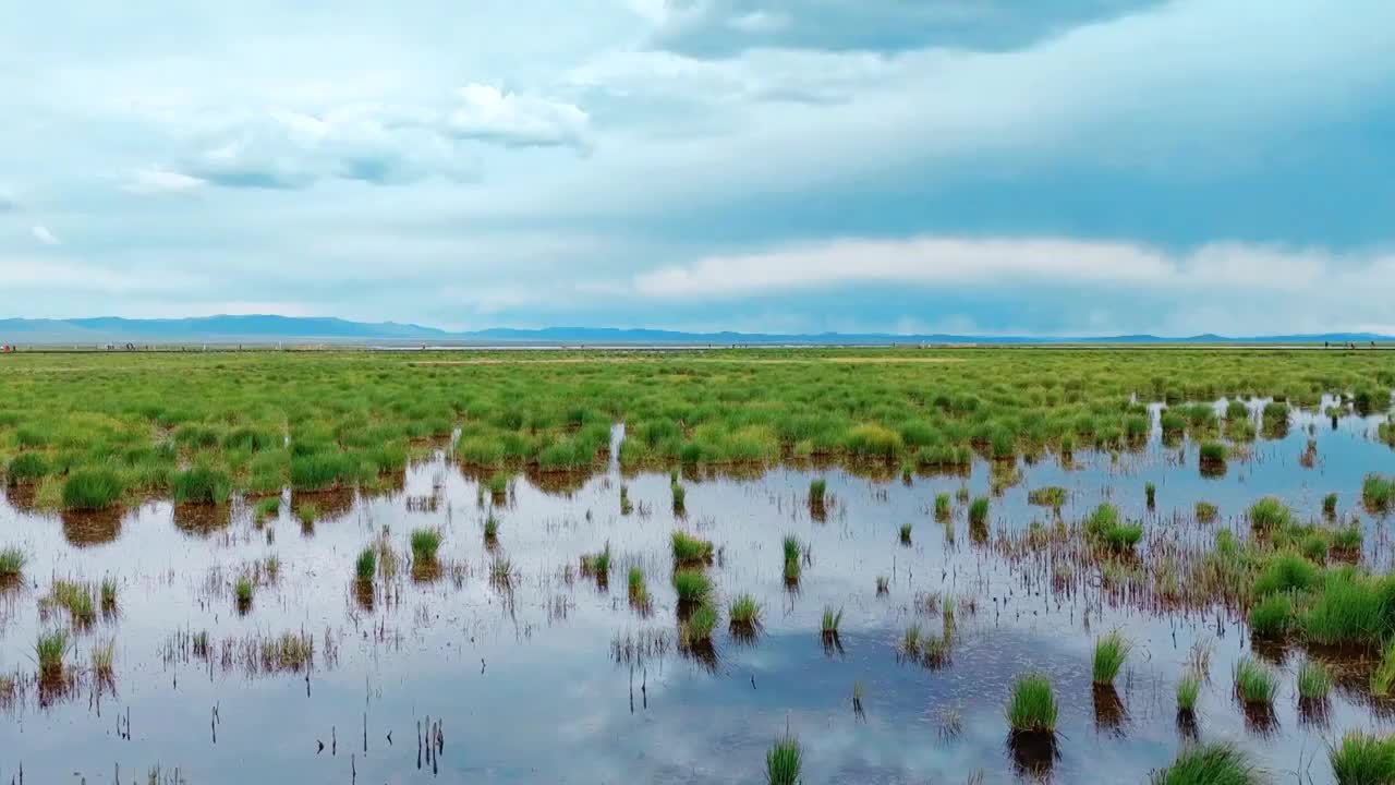 四川若尔盖花湖自然风景区景观视频下载