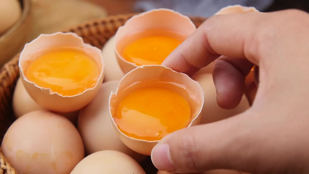 鸡蛋菜品选编视频下载