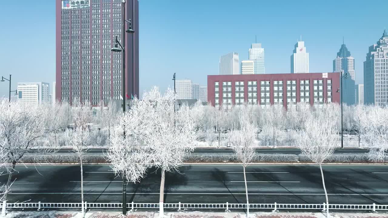 4K，60帧，哈尔滨，冬季，雾凇，城市，公路，松花江，树视频下载
