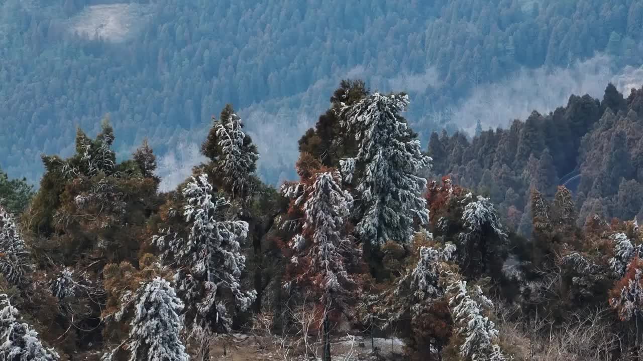 中国湖南南岳衡山雾凇视频下载