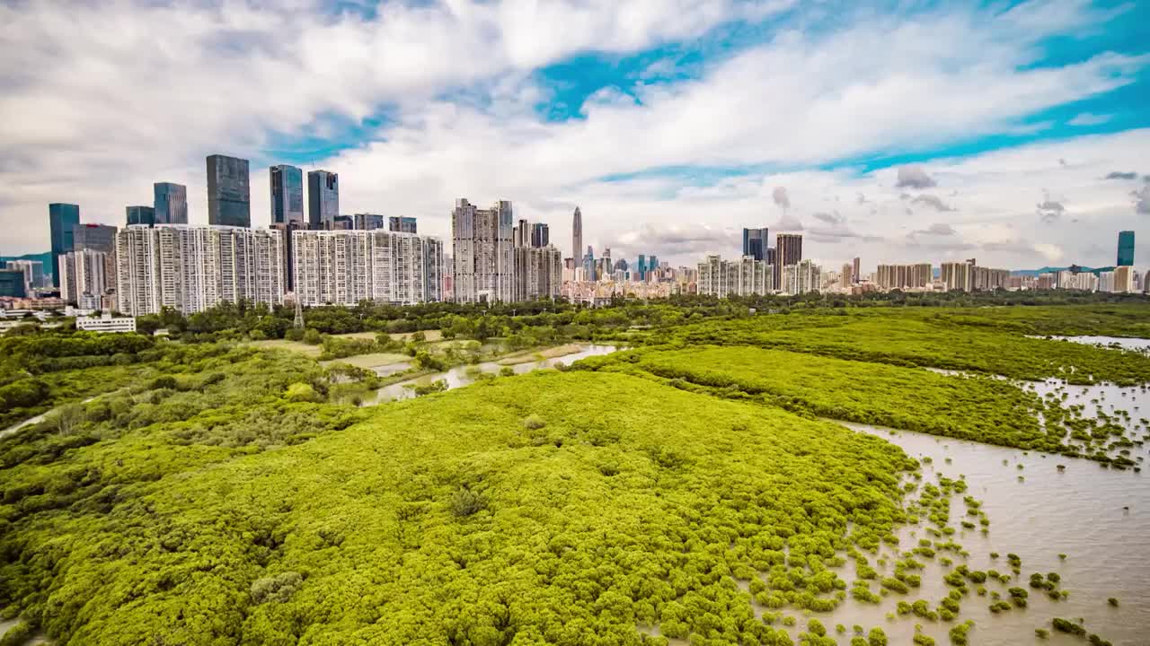 4K深圳宣传片生态航拍视频素材