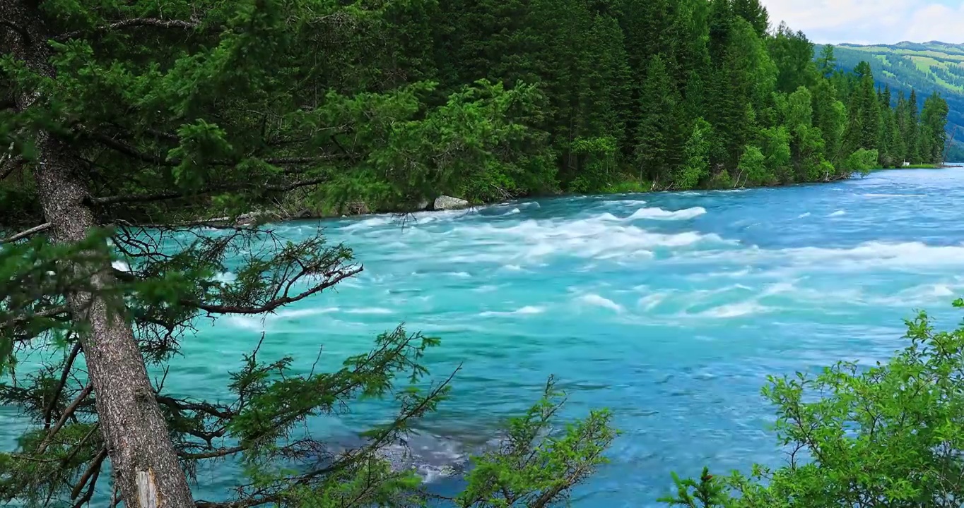 中国新疆喀纳斯风景区山脉森林河流自然风光视频下载