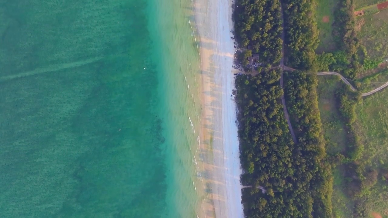 俯拍海岸线沙滩森林视频素材