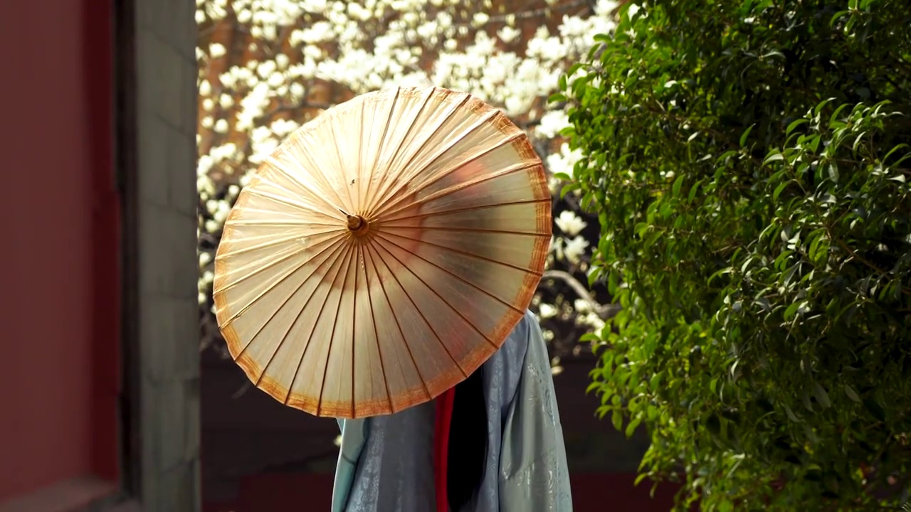 春天穿汉服的古装美女在南京朝天宫景区观赏玉兰花视频素材