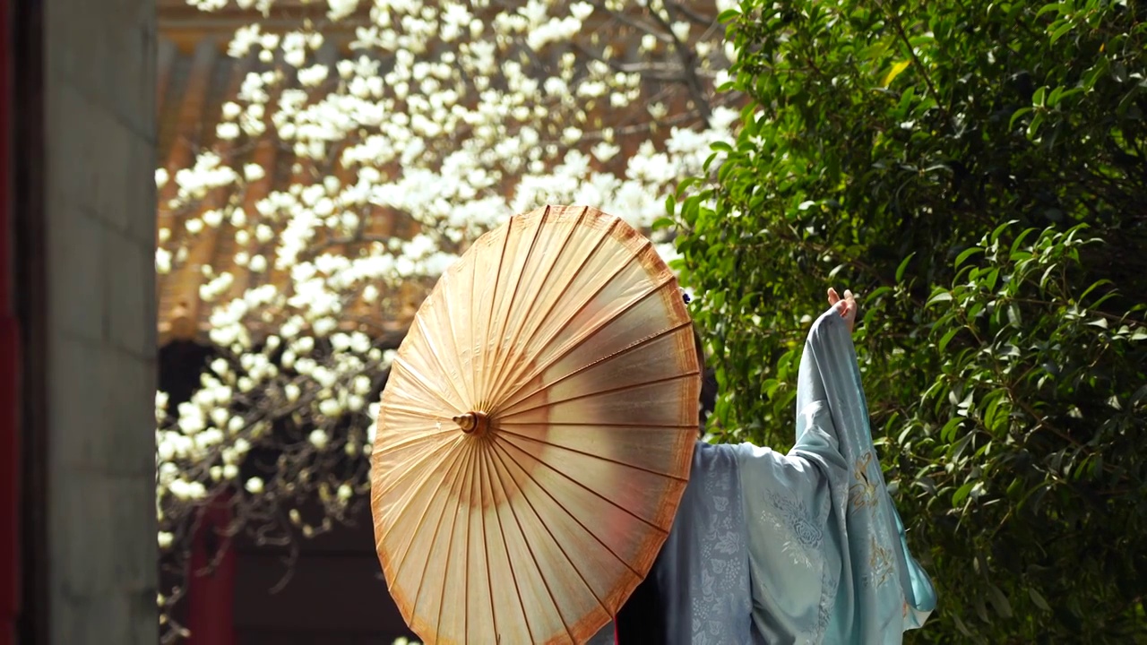 春天穿汉服的古装美女在南京朝天宫观赏玉兰花的背影视频下载