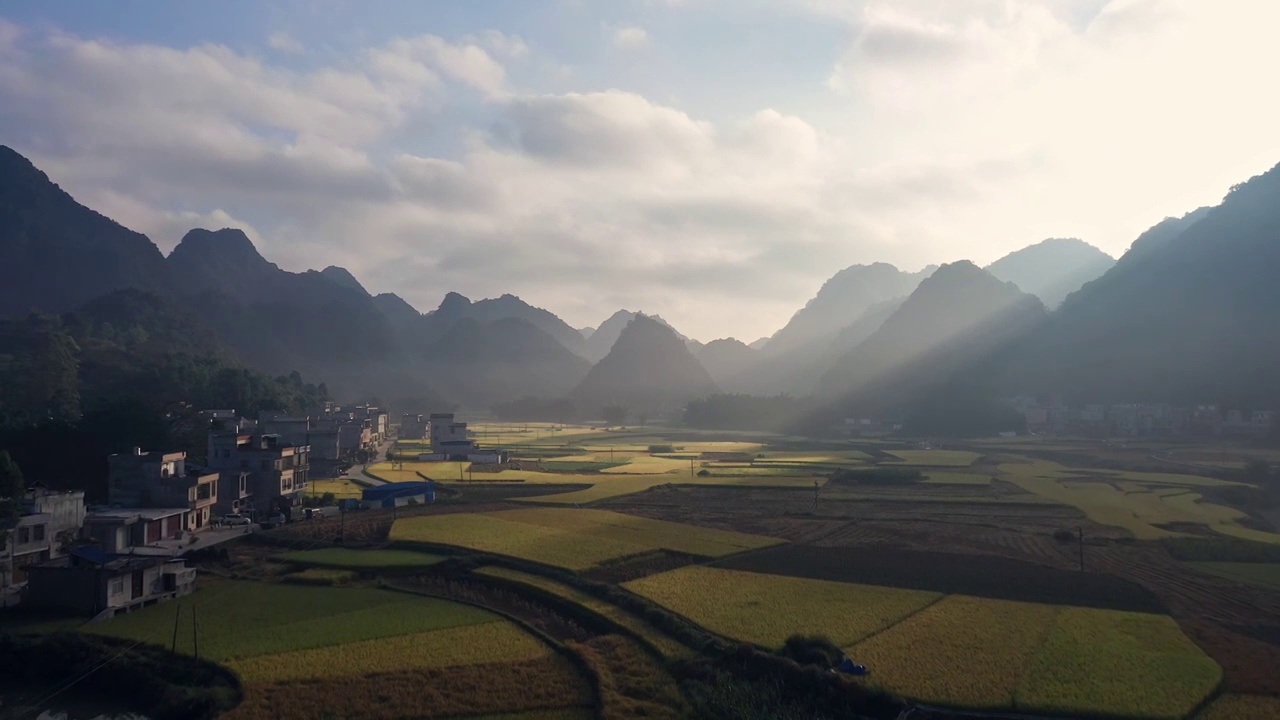 秋天早晨阳光下山谷中的稻田笼罩着薄雾视频下载