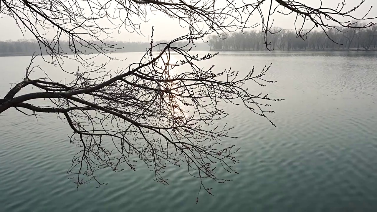 晨雾中的颐和园视频素材
