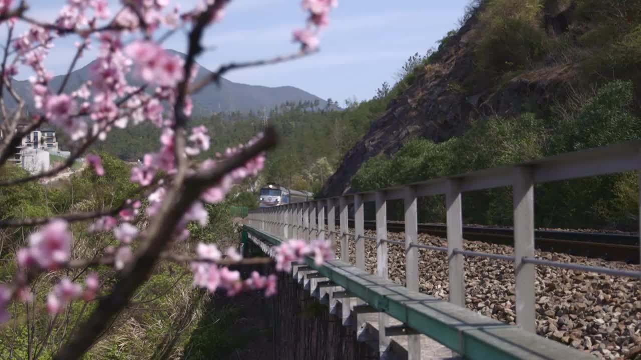 绿皮火车经过桃花园视频下载