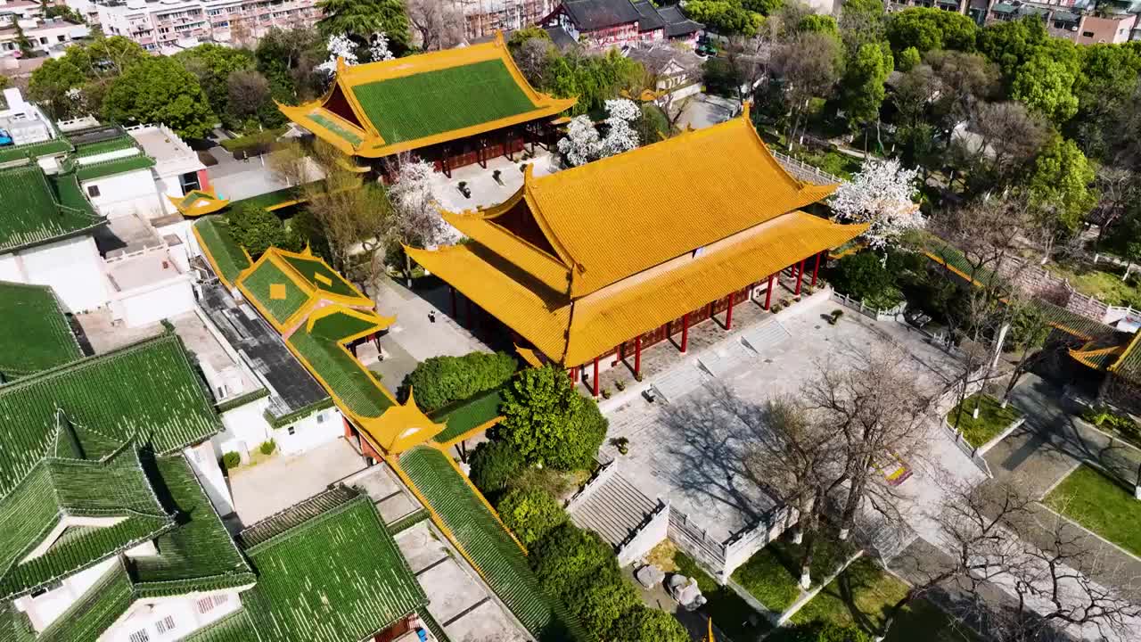 朝天宫的玉兰花，江苏南京视频素材